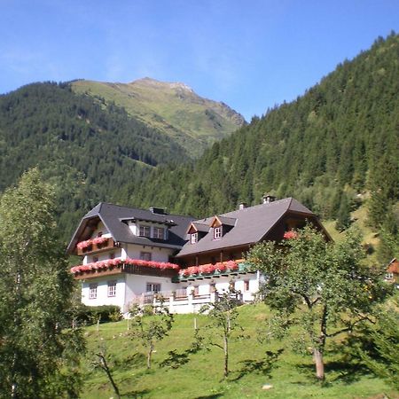 Biobauernhof Spieszschweiger Villa Sankt Nikolai im Sölktal Exterior foto