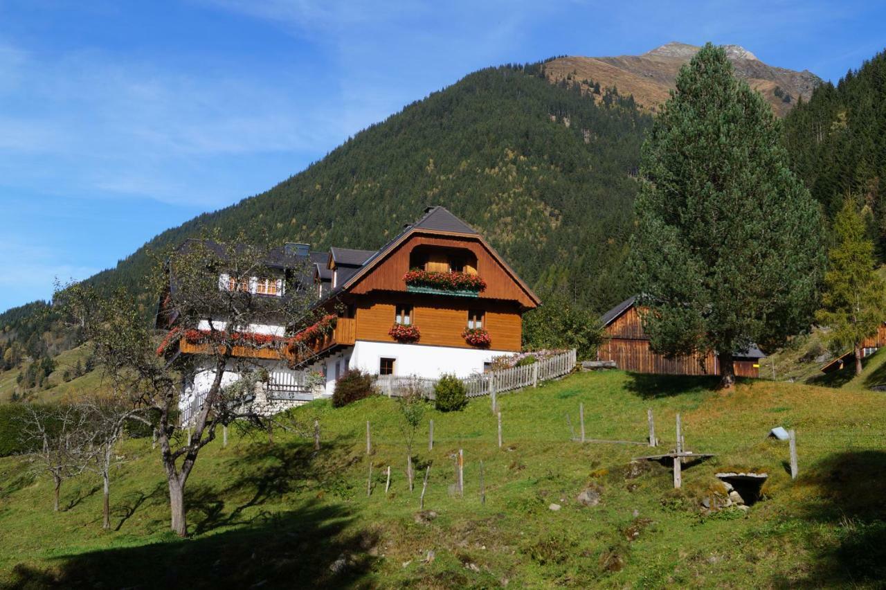 Biobauernhof Spieszschweiger Villa Sankt Nikolai im Sölktal Exterior foto