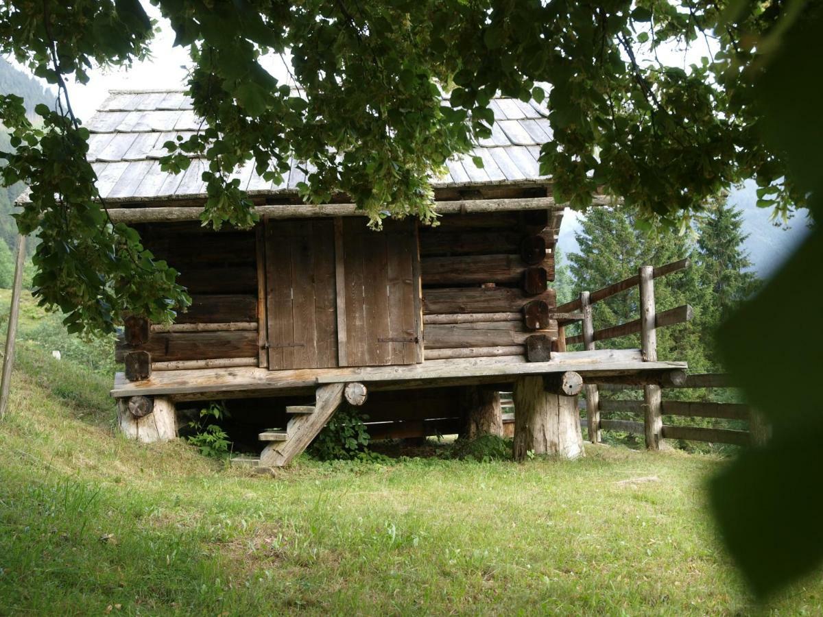 Biobauernhof Spieszschweiger Villa Sankt Nikolai im Sölktal Exterior foto