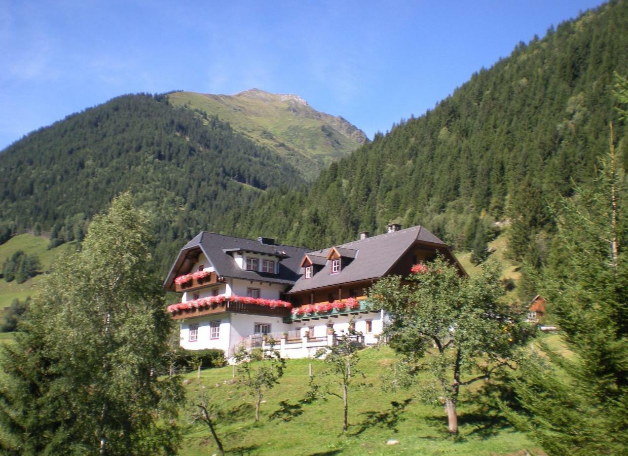 Biobauernhof Spieszschweiger Villa Sankt Nikolai im Sölktal Exterior foto